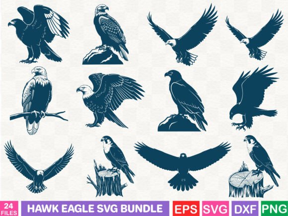 Hawk Eagle SVG Bundle